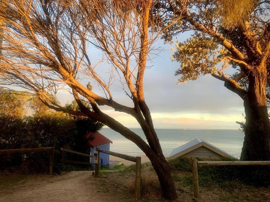 Arthurs Seat Cottage - Sulla Collina Extérieur photo